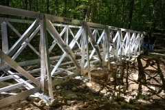 Avalonia-Land-Conservancy-Glemboski-Ous-bridge_hoist_across-72