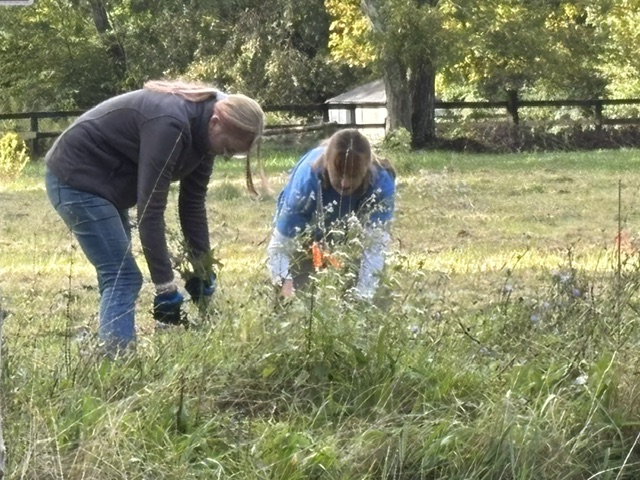 092926-Grasso-Tech-Work-Party-at-Stonington-Copps-Brook_5945