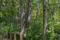 Preston Nature Preserve