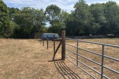 Yannatos-Preserve-2025-8-12-07