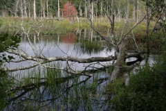 hennepreserve