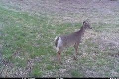 Avalonia-Preston-Nature-Preserve-1274