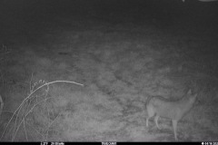 Avalonia-Preston-Nature-Preserve-2447