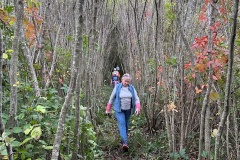 Avalonia-Pike-Marshall-Preserve-in-Ledyard-Barbara-Kil-Denise-Descheneaux-Dennis-Main-James-Harwood