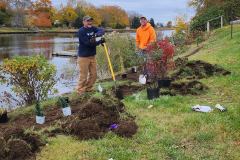 WCCWC Riparian Buffer Installation along Wequetequock Cove