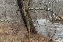 Green Fall River at Yannatos Preserve January 2024