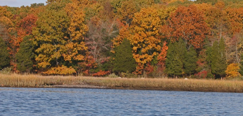 knox family farm