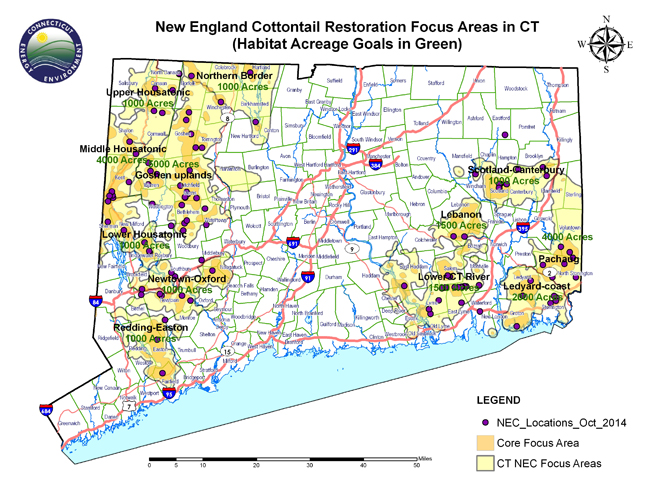 Nec Focus Areas