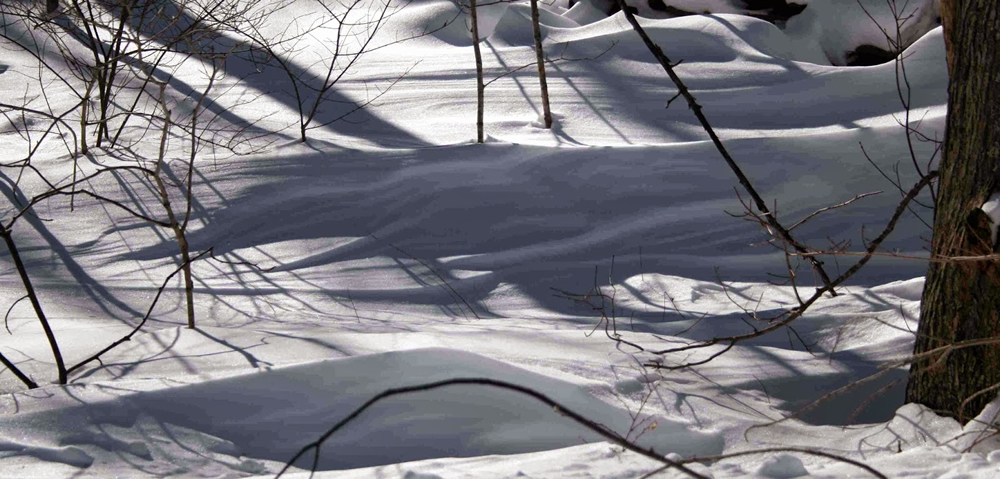 Perry Preserve snow