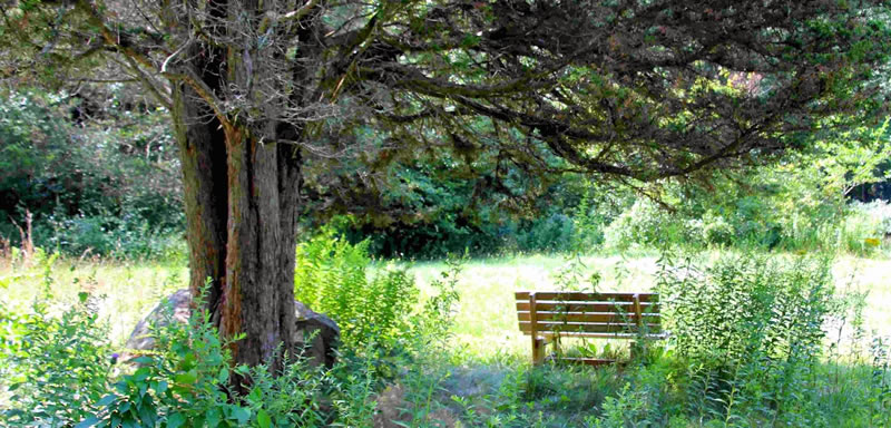 bench at Preston preserve