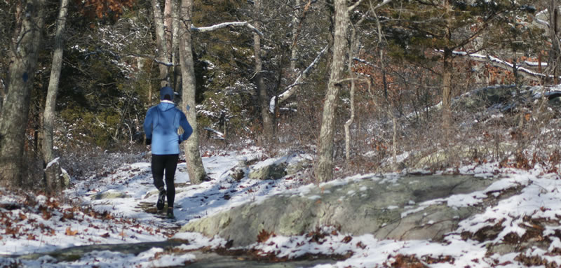 White Cedar Preserve in winter