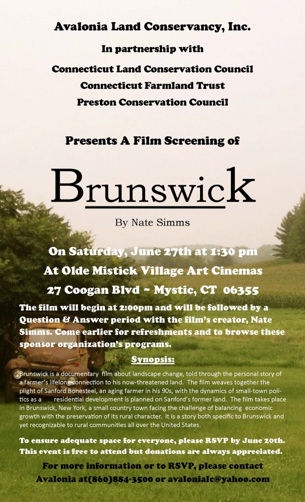 Film Screening Flyer