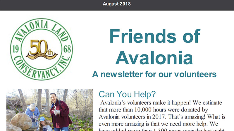 Volunteer Newsletter: August 2018