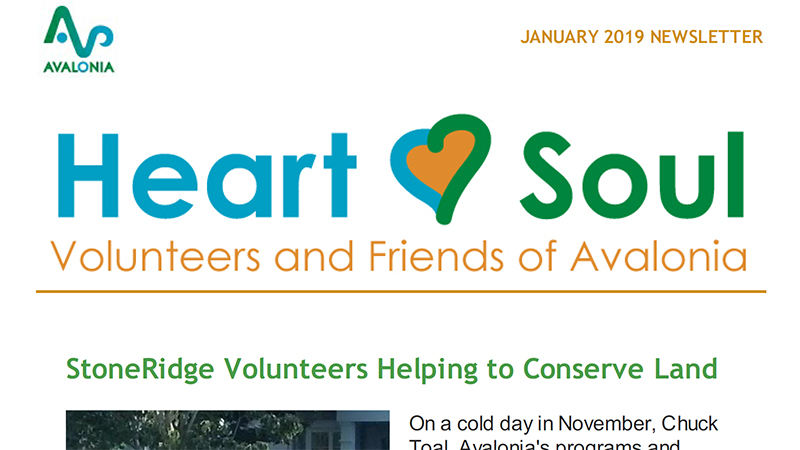 Volunteer Newsletter: January 2019