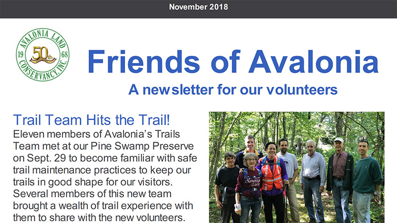 Volunteer Newsletter: November 2018