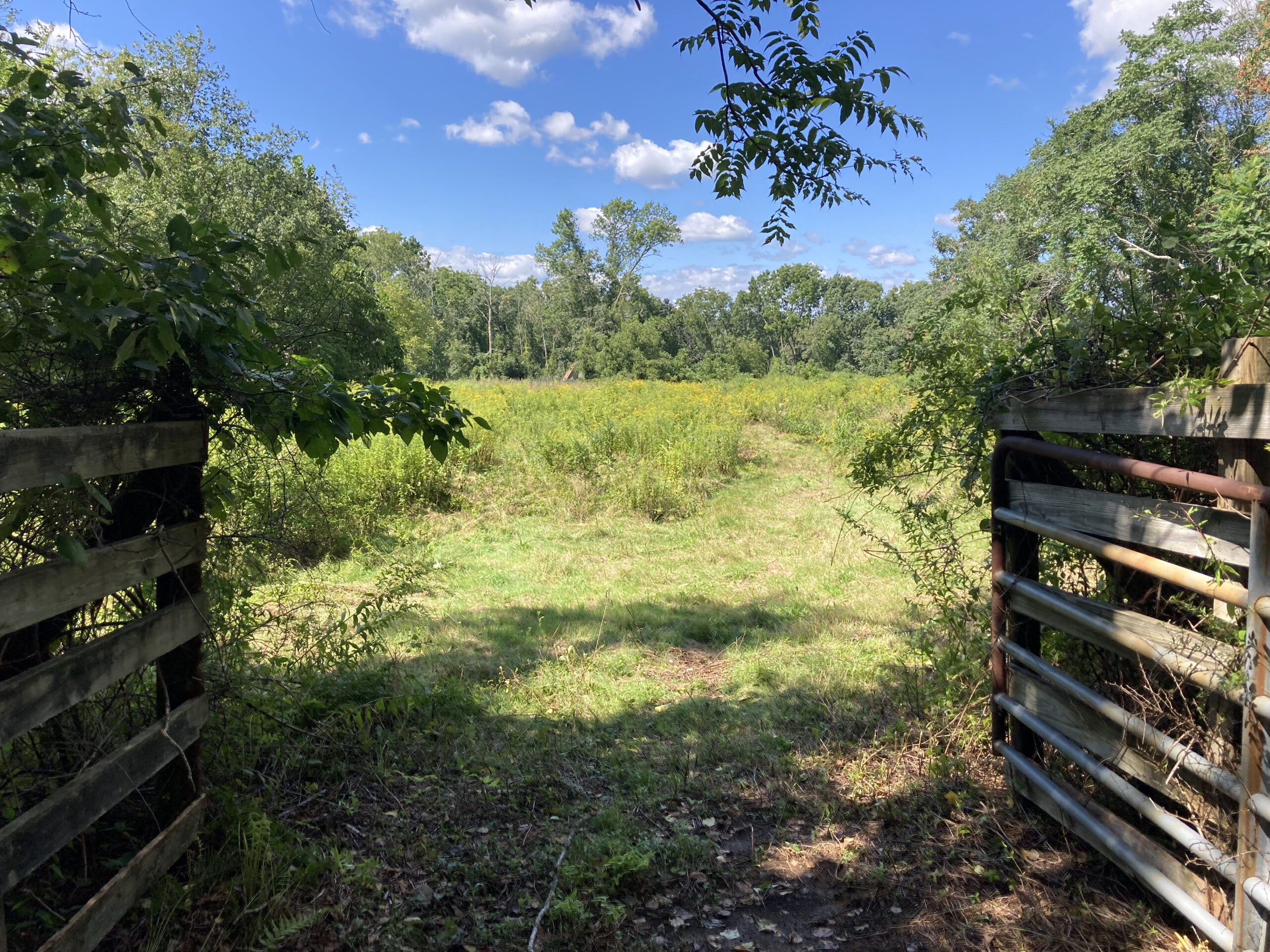 Cedar Wood Preserve