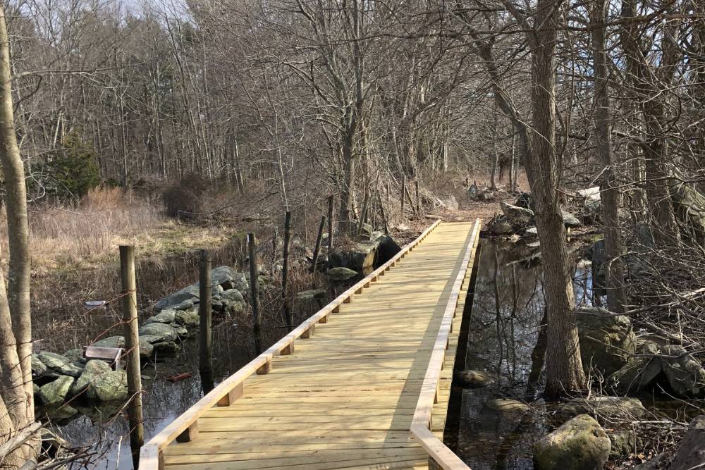 Cedar Wood Bridge