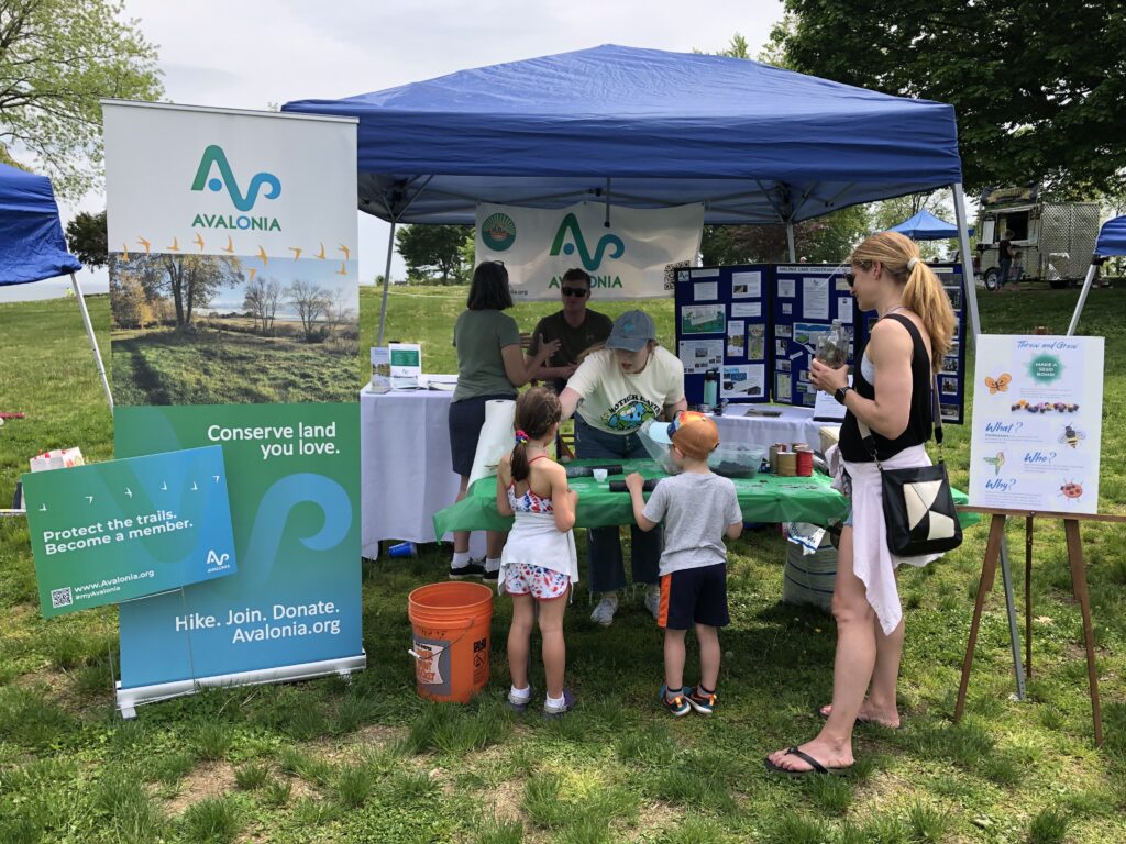 Avalonia at EarthFest 2023