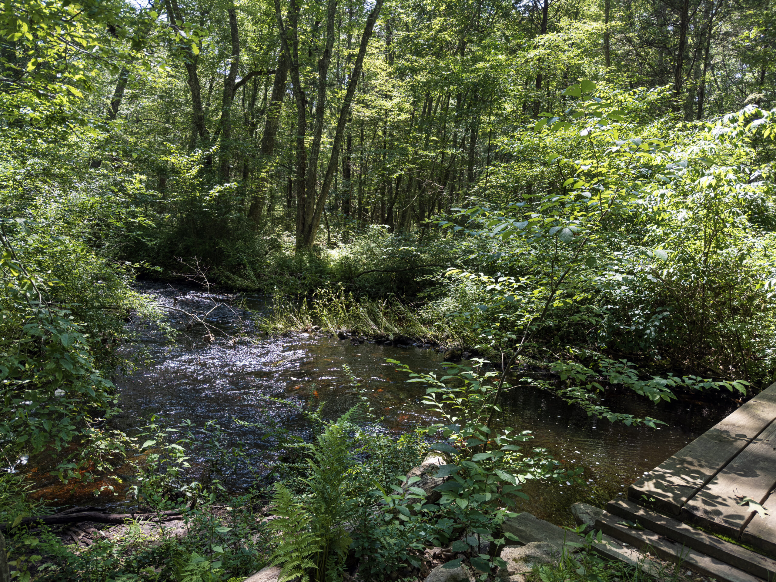 Copps Brook Bridge and Brook