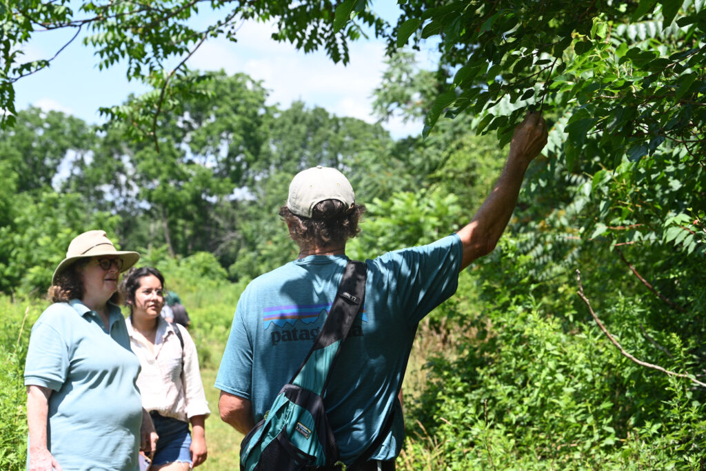 Exploring the Preserve