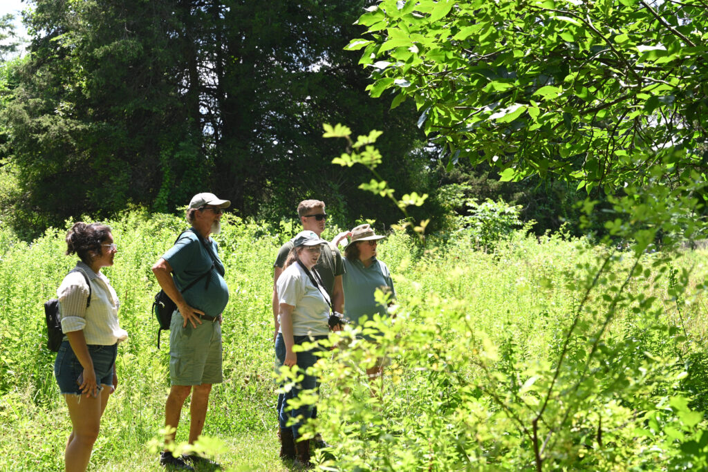 Exploring the Preserve