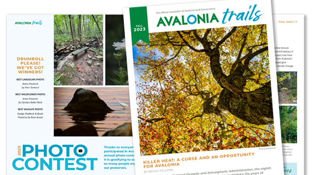 2023 Avalonia Trails Fall Newsletter