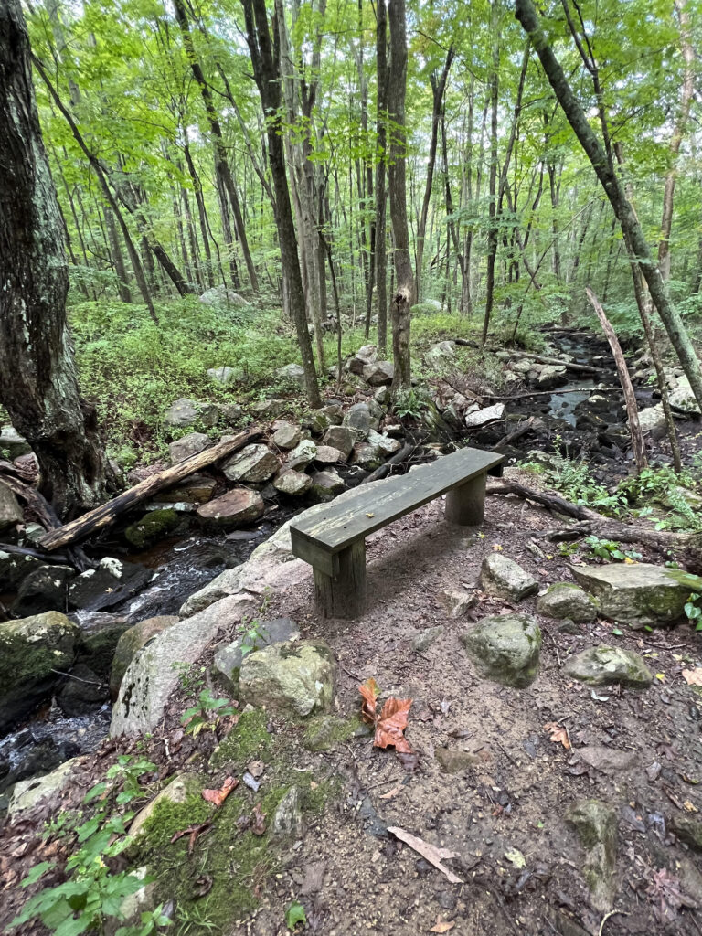 bench at Avery Preserve