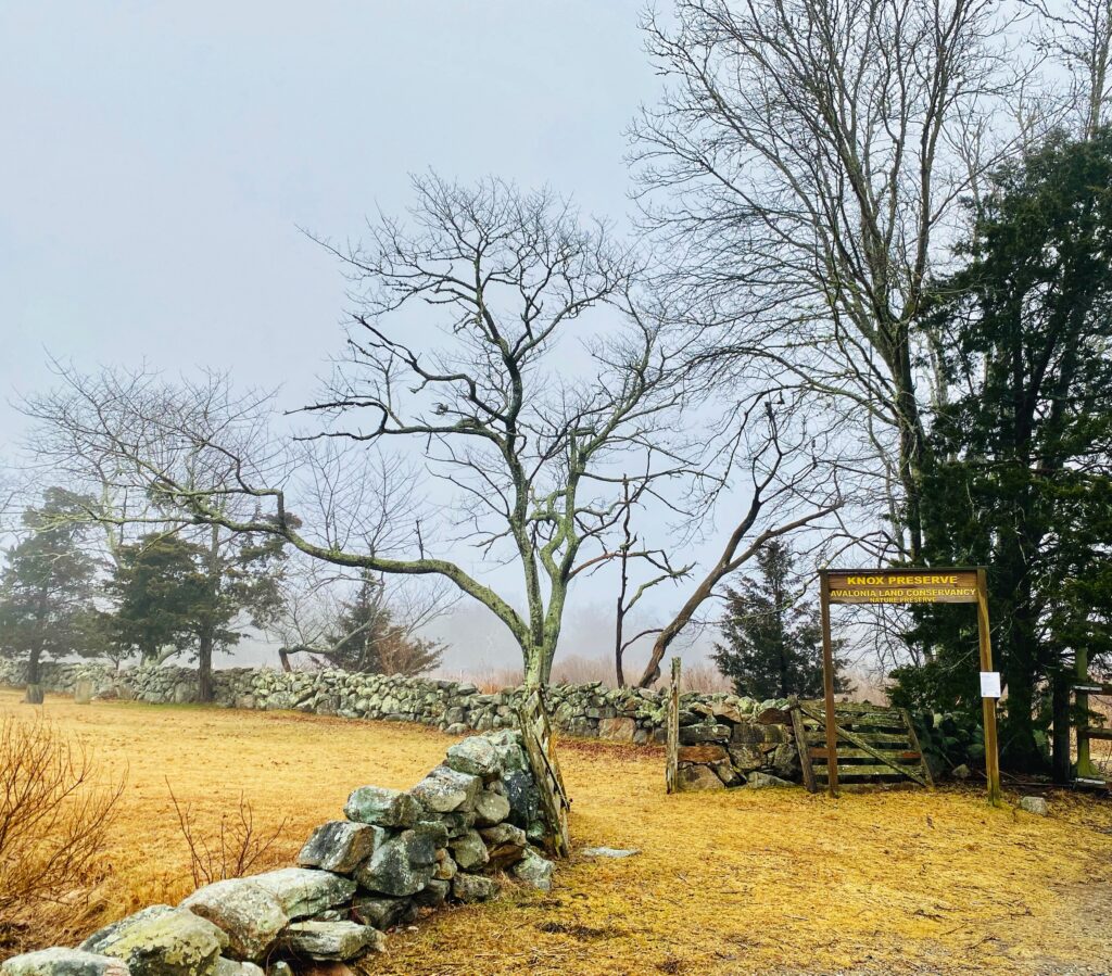 Knox Preserve entrance with fog