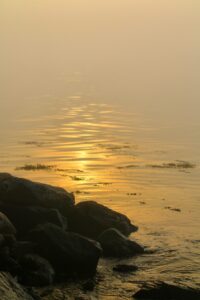 Sun reflection at Dodge Paddock/Beale Preserves