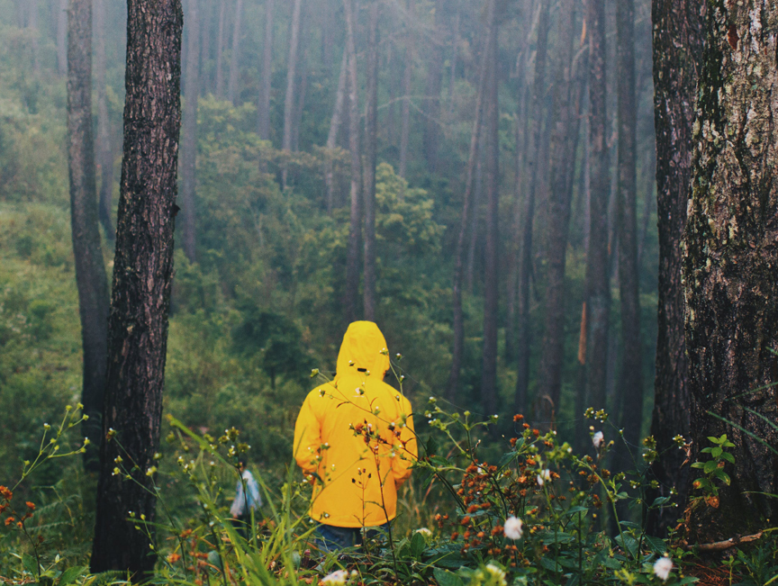 Wear Bright Colors On Trails