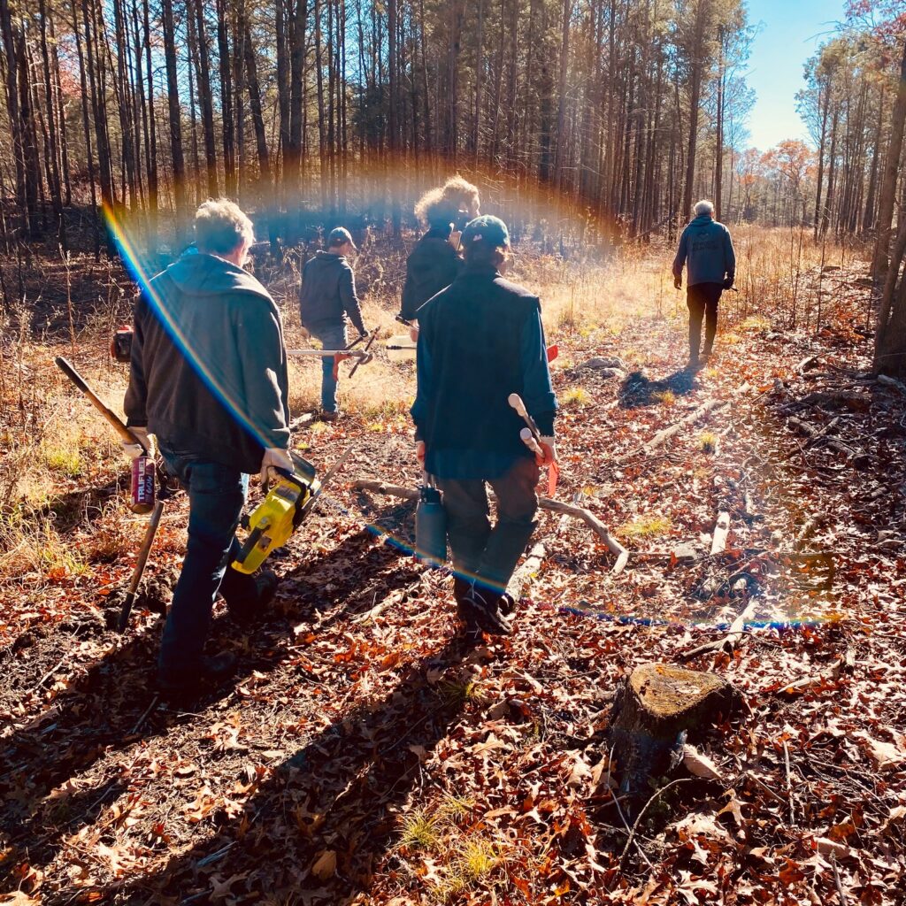 Hoffman Evergreen Preserve Stewardship