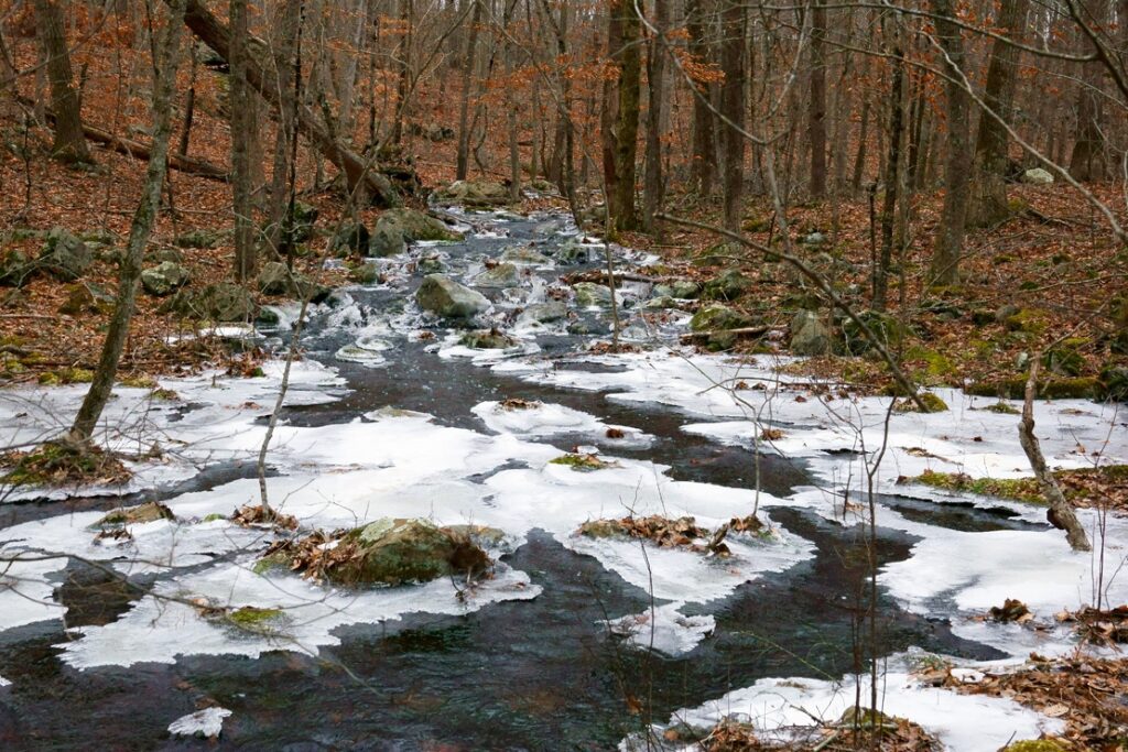 Saporita River in Winter - Carl Tjerandson