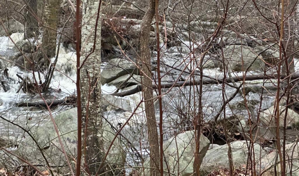 Bindloss Brook at post extreme water event