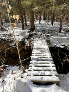 Winter Wonderland at Avery Preserve 2