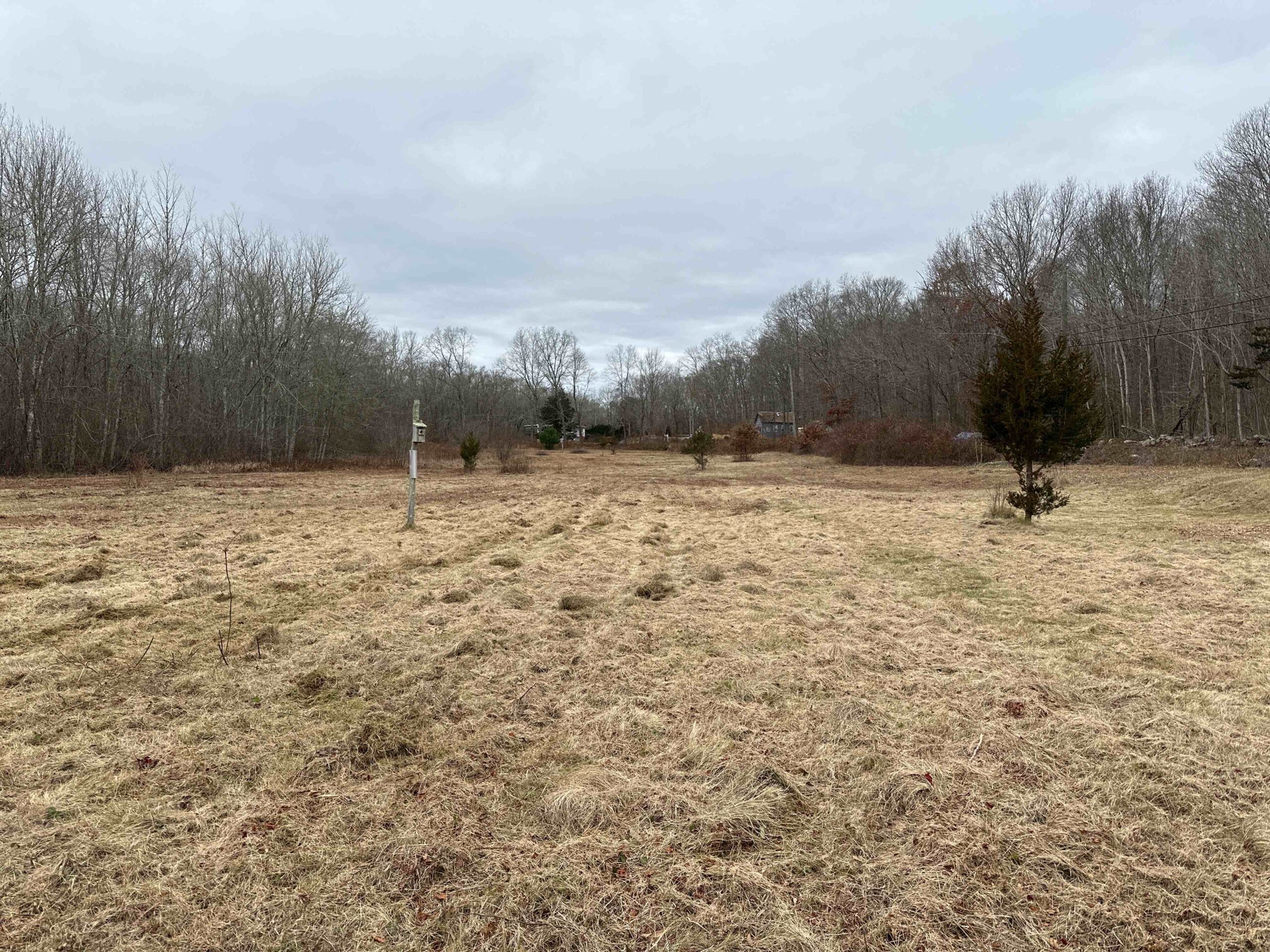 Samuel Lamb & Forsberg Preserve Field