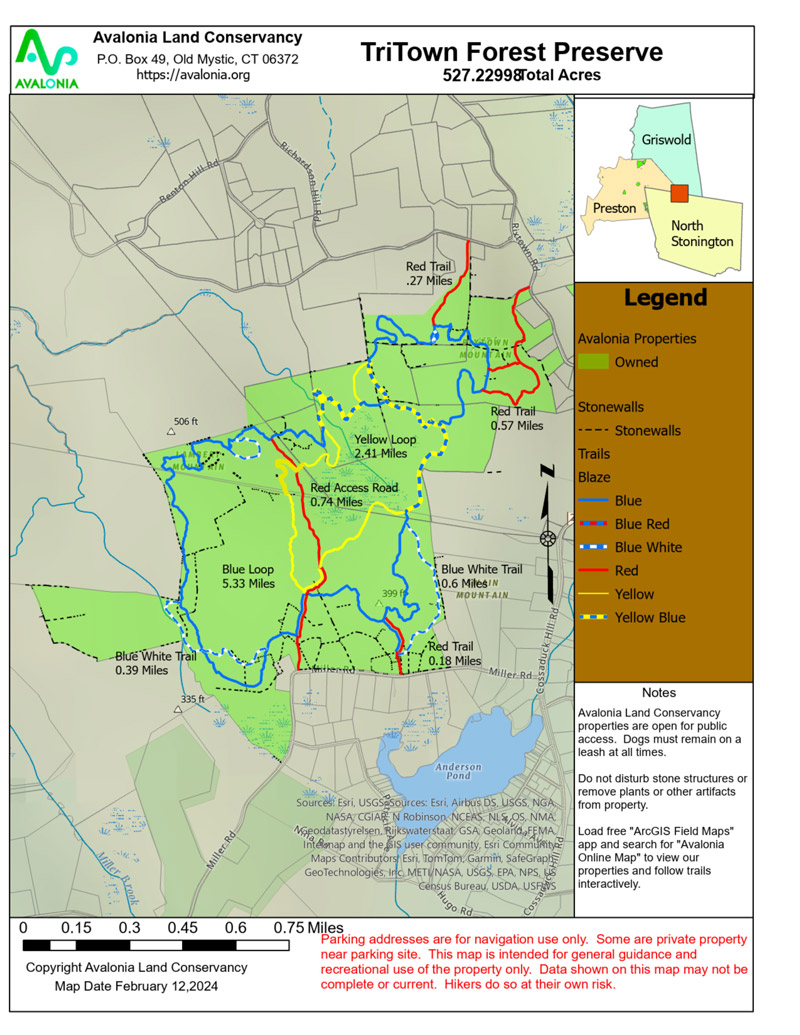 TriTown Forest Trail Map