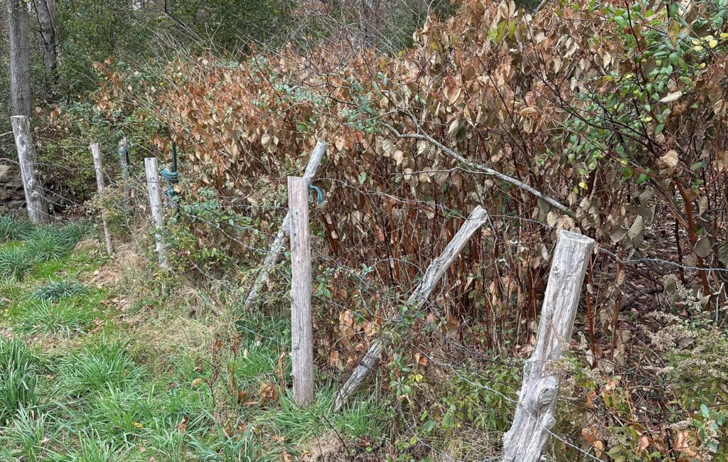 Yannatos Preserve wood fence