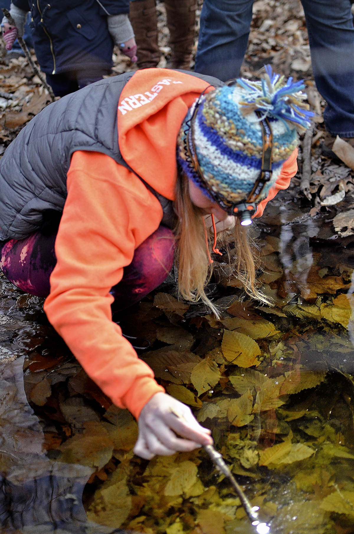 Vernal Pool Adventure at Babcock Ridge