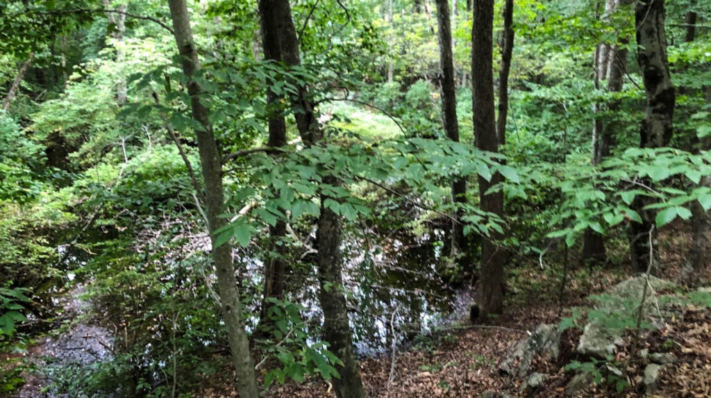 Glemboski-Ous vernal pool