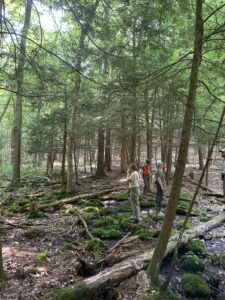 people hiking Cedar Wood Preserve