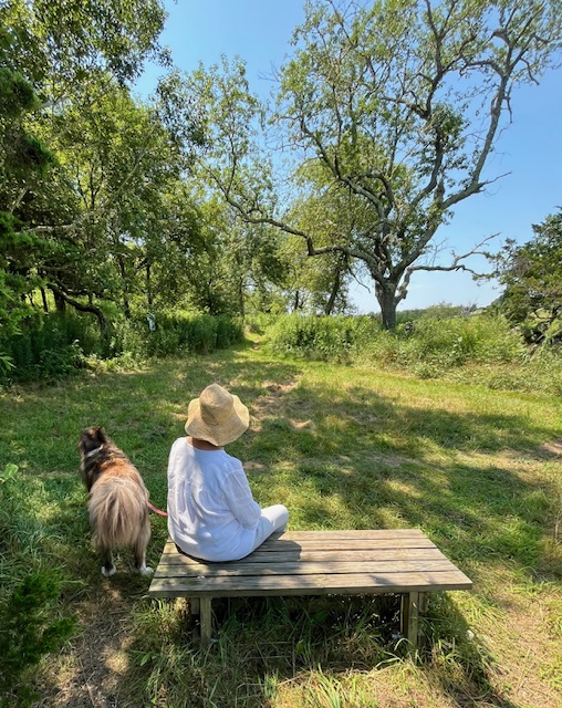 Knox Preserve Bench