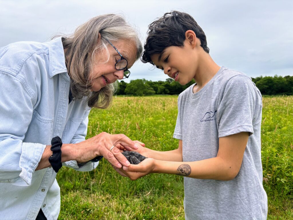 Megan Young - Knox Preserve