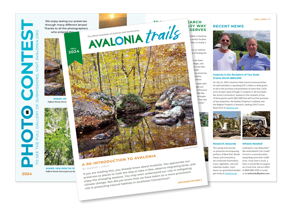 Avalonia Newsletter Fall 2024