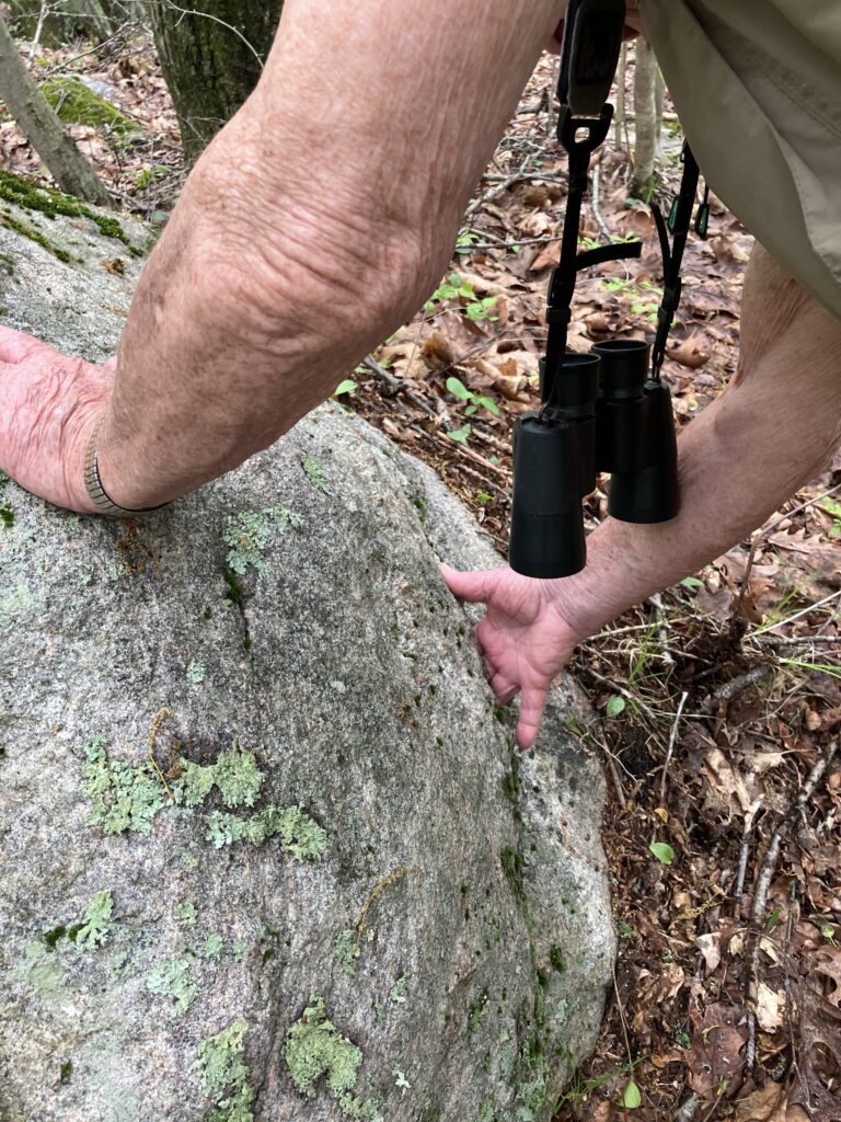 A participant inserts his fingers into a gneiss vug