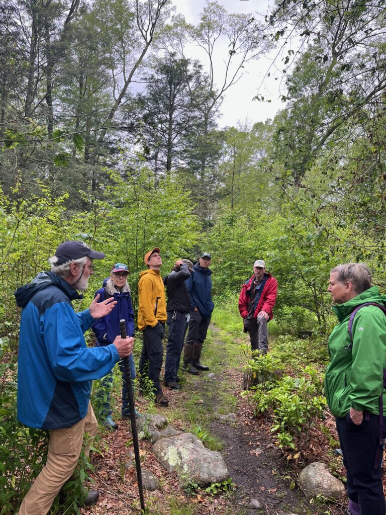 Tom Worthley (UCONN) talks about planning the forest