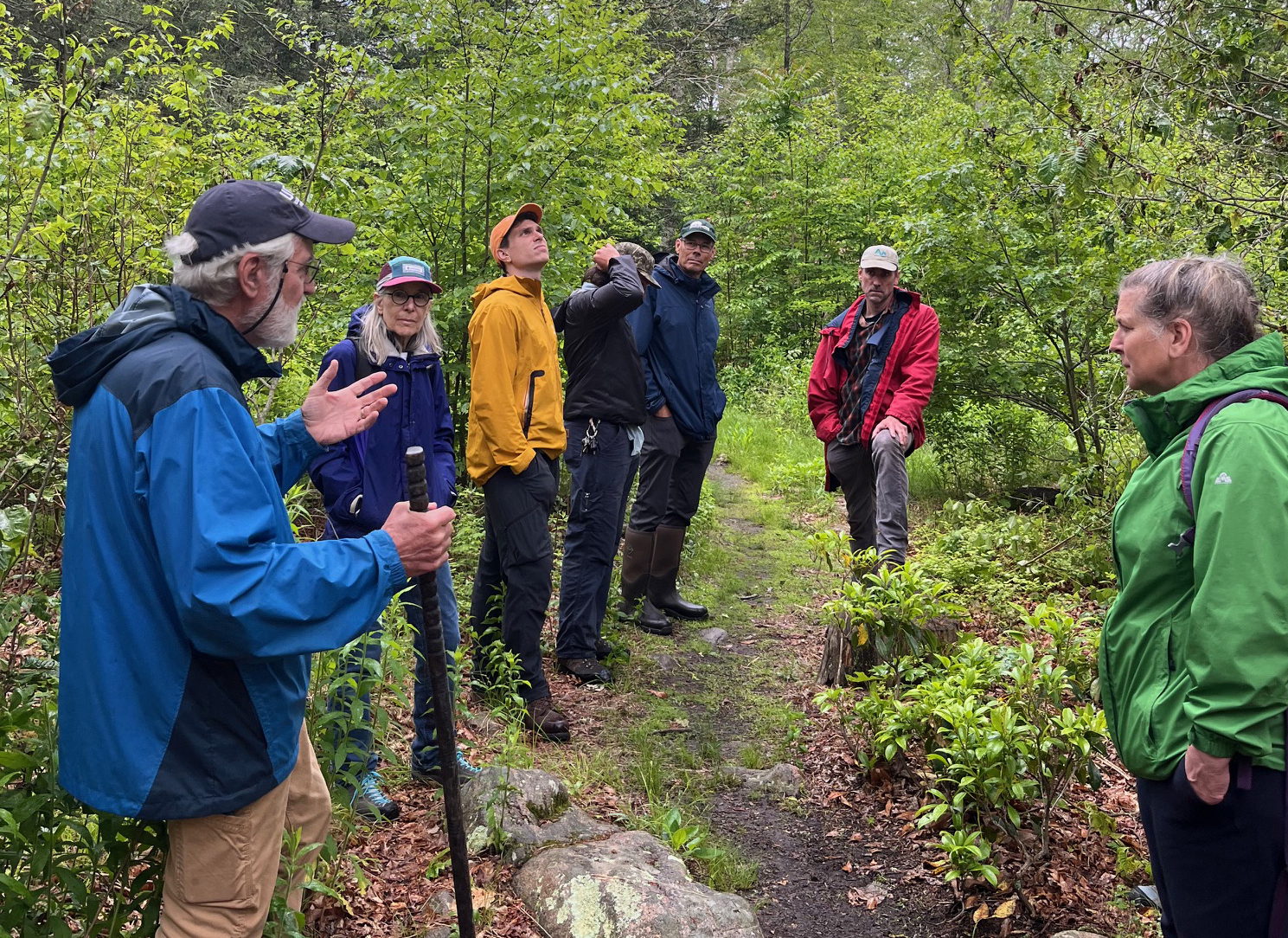 Tom Worthley (UCONN) Talks About Planning The Forest For 50 Years Hence