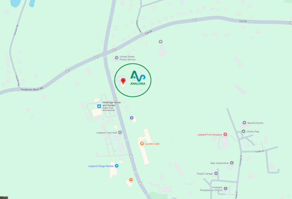 Avalonia Ledyard Office