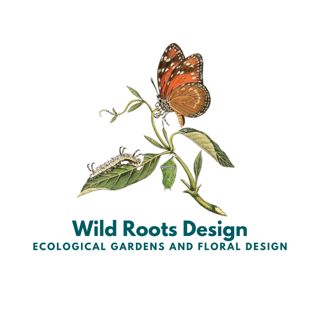 Wild Roots Design