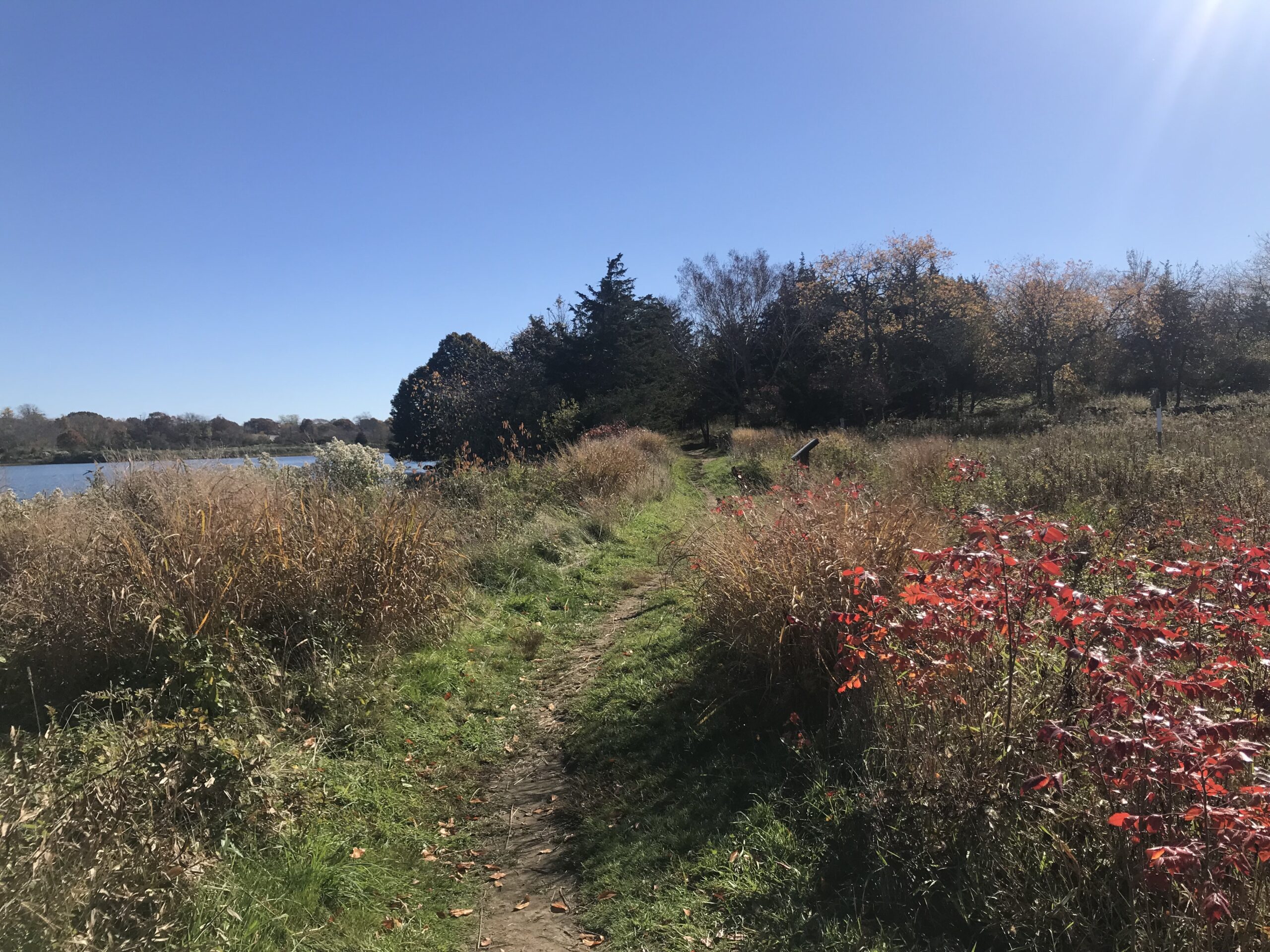 Knox Preserve_Sandra Alexander_2142